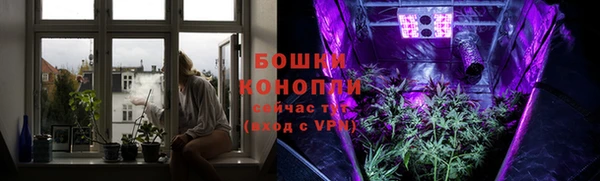 дживик Краснослободск