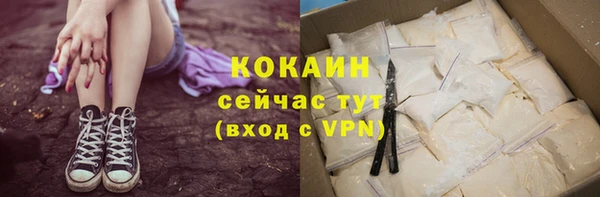 дживик Краснослободск