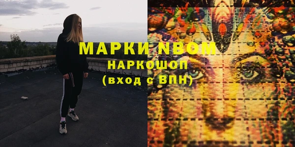 дживик Краснослободск