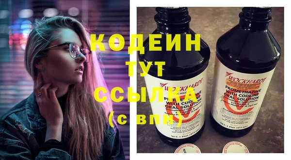 дживик Краснослободск