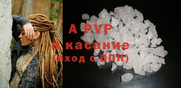 дживик Краснослободск
