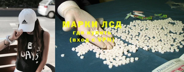 дживик Краснослободск