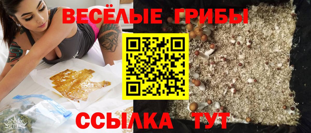 Кокаин  Канабис  ГАШ  КОКАИН  Меф МЯУ МЯУ   Тейково  Каннабис  A-PVP СК  