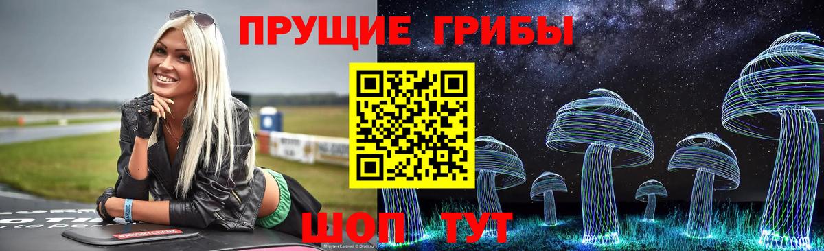 Тейково  Галлюциногенные грибы Psilocybine cubensis  хочу   Вход с VPN 