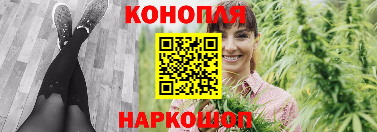 Бошки марихуана Bruce Banner  МАРИХУАНА сатива  Бошки марихуана Bruce Banner  Тейково 